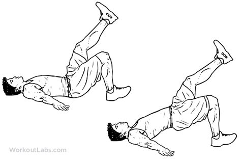 Single Leg Glute Bridge / Hip Extension | Illustrated Exercise guide ...