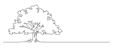 big tree drawing png transparent images   vector files