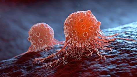 indagan el origen del cancer en celulas troncales gaceta unam