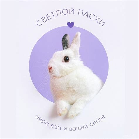 Поздравительные картинки с Пасхой для друзей и любимых