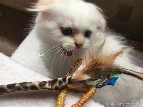 Nsfwleia Nsfwleia Nude Onlyfans Leaks Fappening Fappeningbook