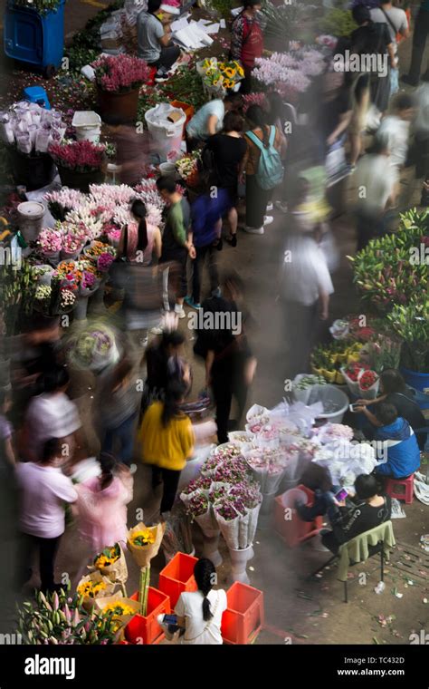 Dounan Flower Market Kunming City Yunnan Province Stock Photo Alamy