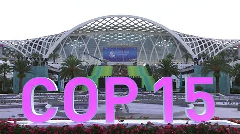 China's Kunming hosts COP15 gathering - CGTN