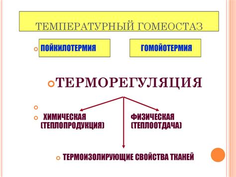 Физиология терморегуляции. ФУС, обеспечивающая поддержание постоянства ...