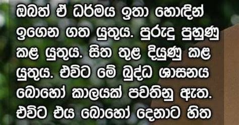 බුදු දහම සුරකිමු පරමාර්ථය