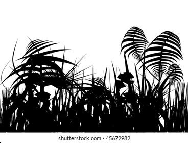 Jungle Silhouette Stock Vector (Royalty Free) 45672982 | Shutterstock