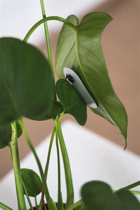 Kateřina Novotná – INTERAKTIVNÍ MÉDIA