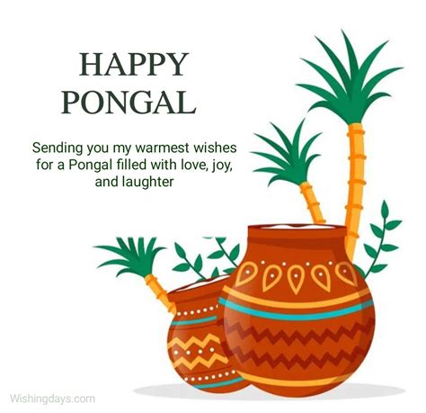 Happy Pongal Wishes 2025 Quotes, Images, Messages, - Wishing Days