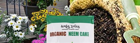 Leafy Tales Neem Cake Powder Organic Fertilizer And Pest Repellent For