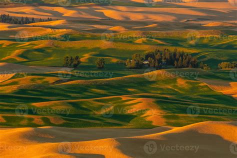 View Of Steptoe Butte In The Palouse Region Washington State Usa