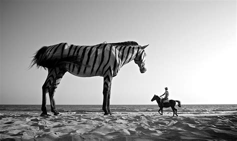 20 Creativas Fotografías en Blanco y Negro Para Llenarte de Inspiración