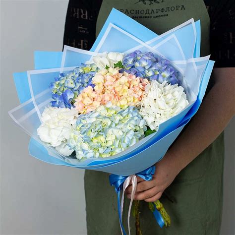 Букет из 7 разноцветных гортензий купить с доставкой по Краснодару