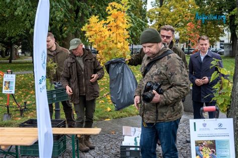 Akcja Sadzimy W Augustowie Rozdano Tysi Ce Sadzonek Rodzimych Drzew