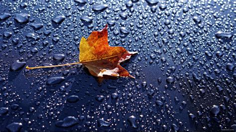 20 Beautiful HD Rain Wallpapers for your desktop