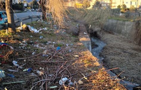 Degrado Assoluto Lungo Lalveo Del Torrente Piazza Nel Centro Di Lamezia