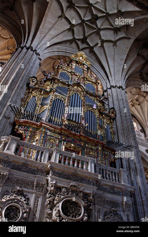 Cathedral Organ Salamanca Spain Interior Of Salamanca Cathedral