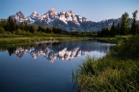 Alyce Bender From Amateur To Professional Nature TTL