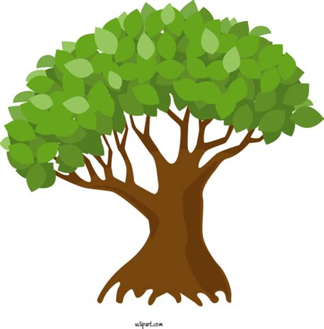 Nature Leaf Plant Tree For Tree Tree Clipart Nature Clip Art