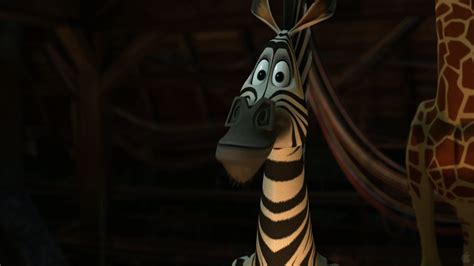 Marty the Zebra in Madagascar 3: Europe’s Most Wanted Desktop Wallpaper