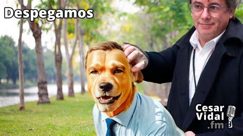 La Investidura De S Nchez Y Los Mejores Memes De Perro Sanxe