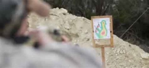 Ar Vs Shotgun