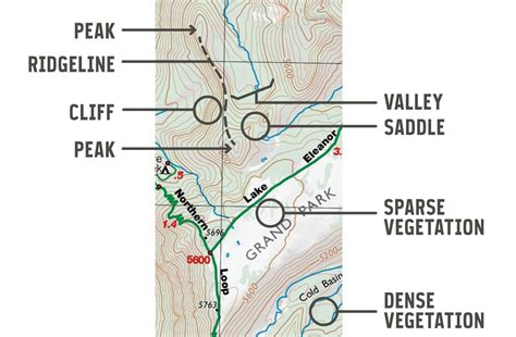 What Are The Main Features Of A Topographic Map Davida Francoise