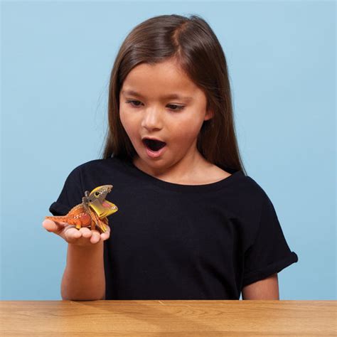 Eugy | Frilled Lizard | Kids Cardboard Craft Kit – Conscious Craft