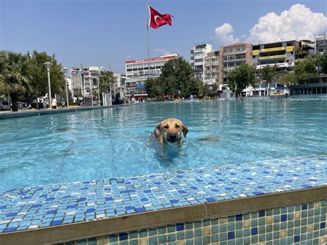 Its So Hot Outside Gag