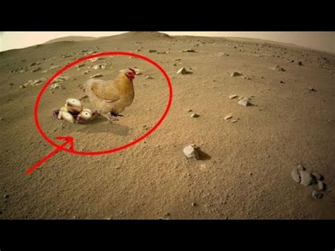 Mars Rover Latest 4k Stunning Video Footage of Mars || Mars 4k Video ...