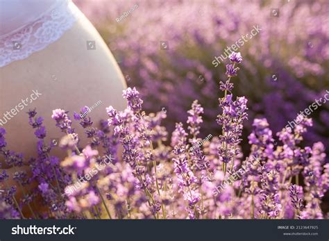 Naked Female Pregnant Belly Against Background Stock Photo Shutterstock