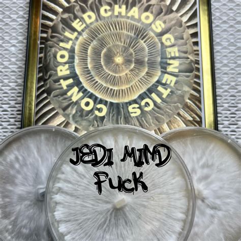 Jedi Mind Fuck Premium Research Plate Mm SporeSwaps