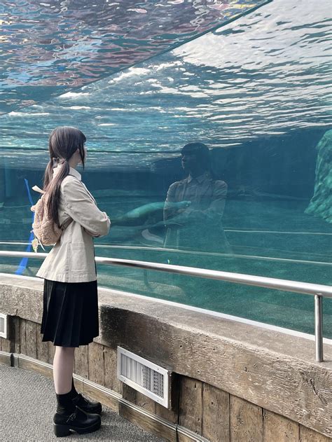 Nora Fawn (u/norafawn) - Reddit