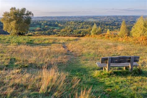 Half Term Adventures In Kent And Sussex Bramley And Teal