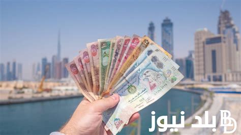 الاماراتي بقي بكام؟ سعر الدرهم الاماراتي اليوم في السوق السوداء