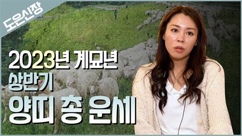 🐑 미리보는 2023년 ‘양띠 상반기 운세 내년 양띠에게 다가올 큰 변화들 강남점집 Youtube