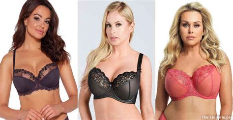 Why Does Nami Only Wear A Bra The Lingerie Pro