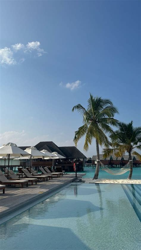 Julia Wieniawa Pozuje W Bikini Na Malediwach Co Za Figura Foto Pudelek