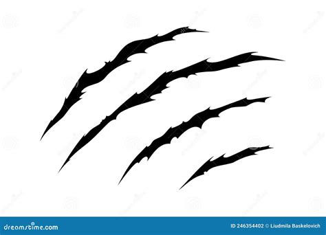 Claw Scratches Of Wild Animal Cat Scratches Marks Isolated In White