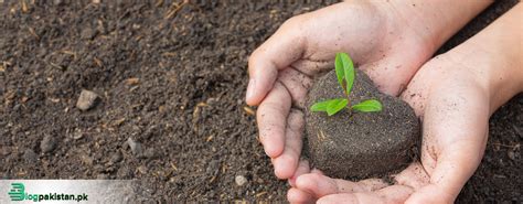 8 Eco-Friendly Habits Worth Adopting As An Individual 