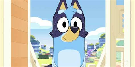 Bluey To Become Adult Series For Season 4