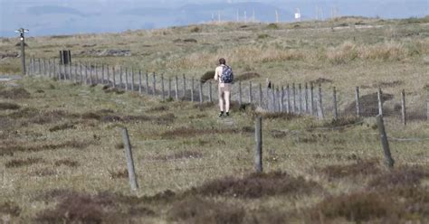 Cheeky Hiker Strips Naked To Enjoy The Spring Sunshine On Country Ramble Mirror Online