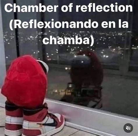 Reflexionando En La Chamba Videos Divertidos Memes Perrones