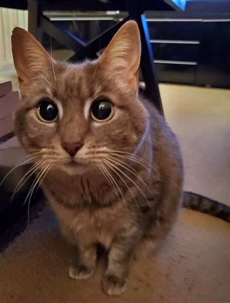 Best Hazy Images On Pholder Earth Porn Seniorkitties And Photocritique