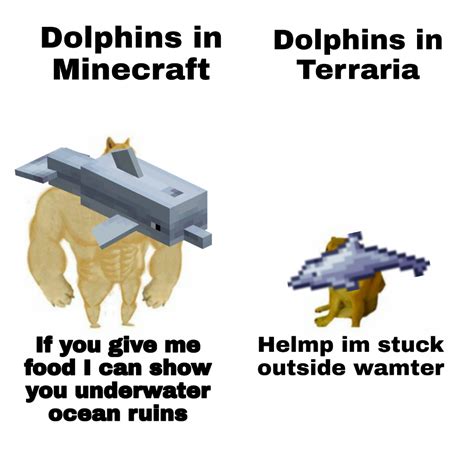 Dolphins Rterraria