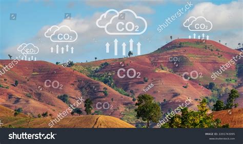 Deforestation Anthropogenic Source Atmospheric Carbon Dioxide Stock ...