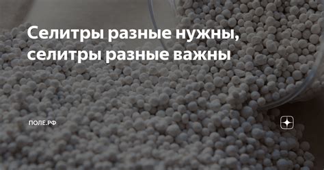 Селитры разные нужны, селитры разные важны | поле.рф | Дзен