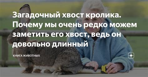 Загадочный хвост кролика. Почему мы очень редко можем заметить его ...