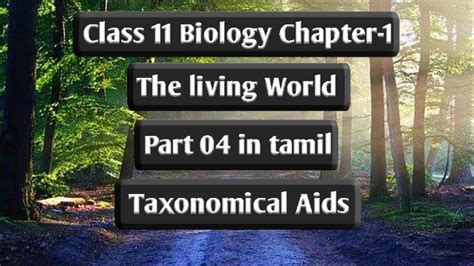 Class Biology Chapter Part In Tamil The Living World