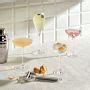 Nude Savage Coupe Glasses Set Of Williams Sonoma