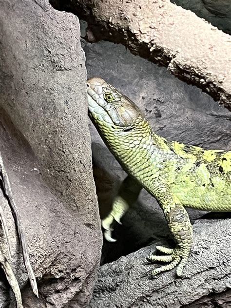 Best Solomon Islands Images On Pholder Battlefield V Abandoned Porn And Interestingasfuck